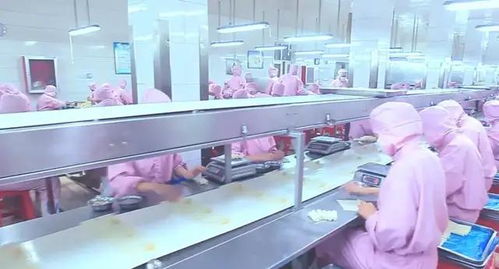 兆辉食品携旗下素范儿品牌诚邀您共赴第七届京津冀餐饮供应链博览会